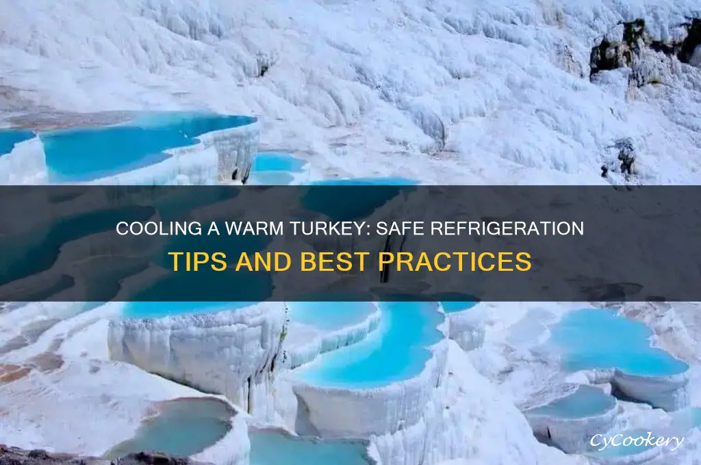 can i put a warm turkey in the refrigerator