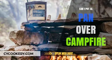 Campfire Cooking: Can You Use a Pan?