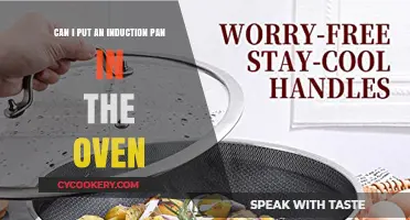 Induction Pans: Are They Oven-Safe?
