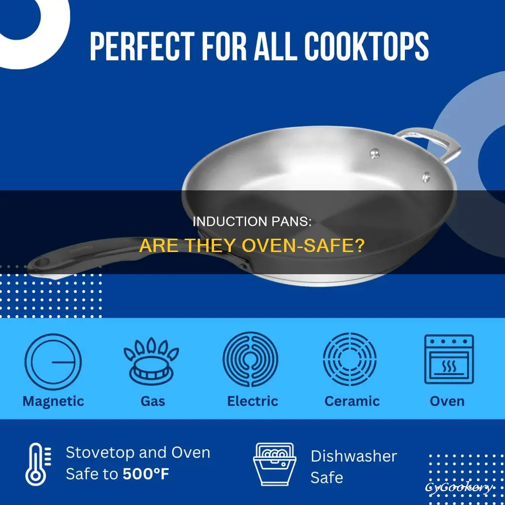 can I put an induction pan in the oven