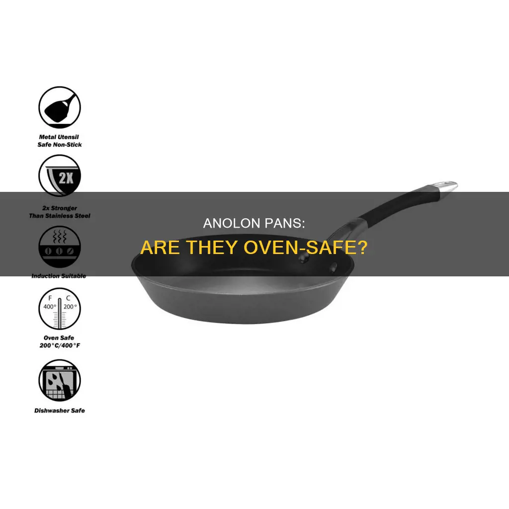 can I put anolon pans in the oven