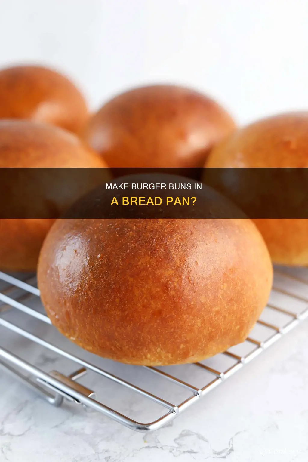 can I put burger bun dough in a bread pan