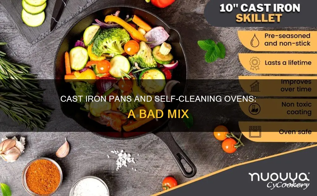 can I put cast iron pan in self cleaning oven