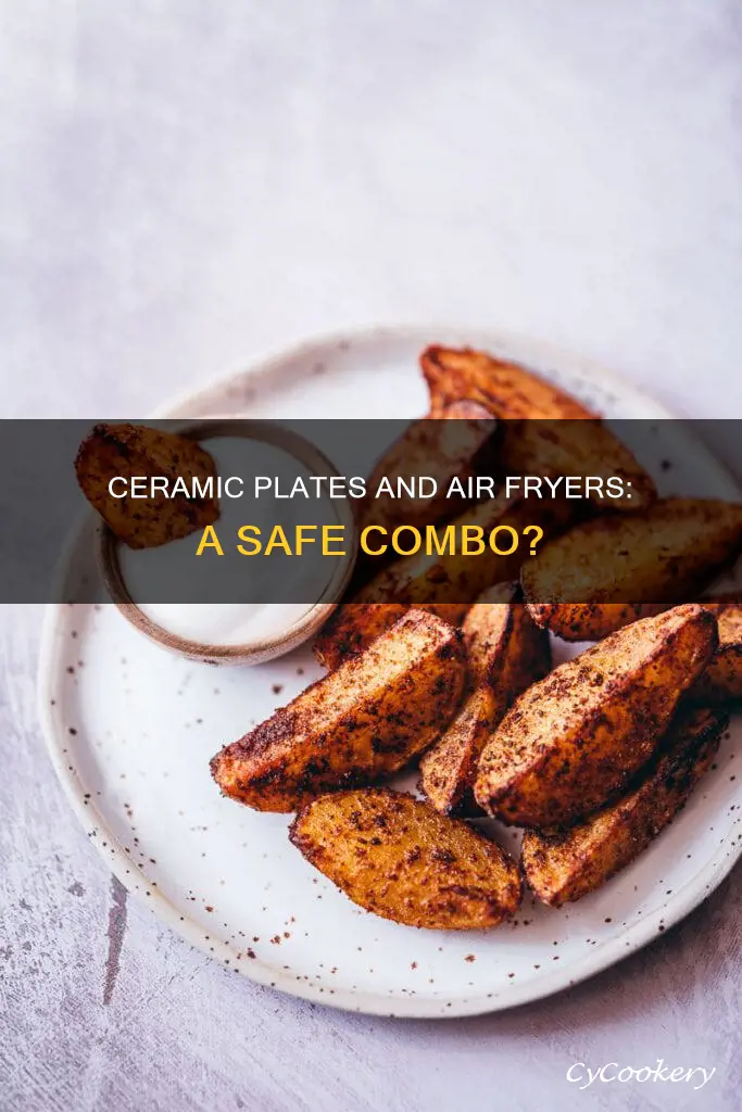 can i put ceramic plate in air fryer