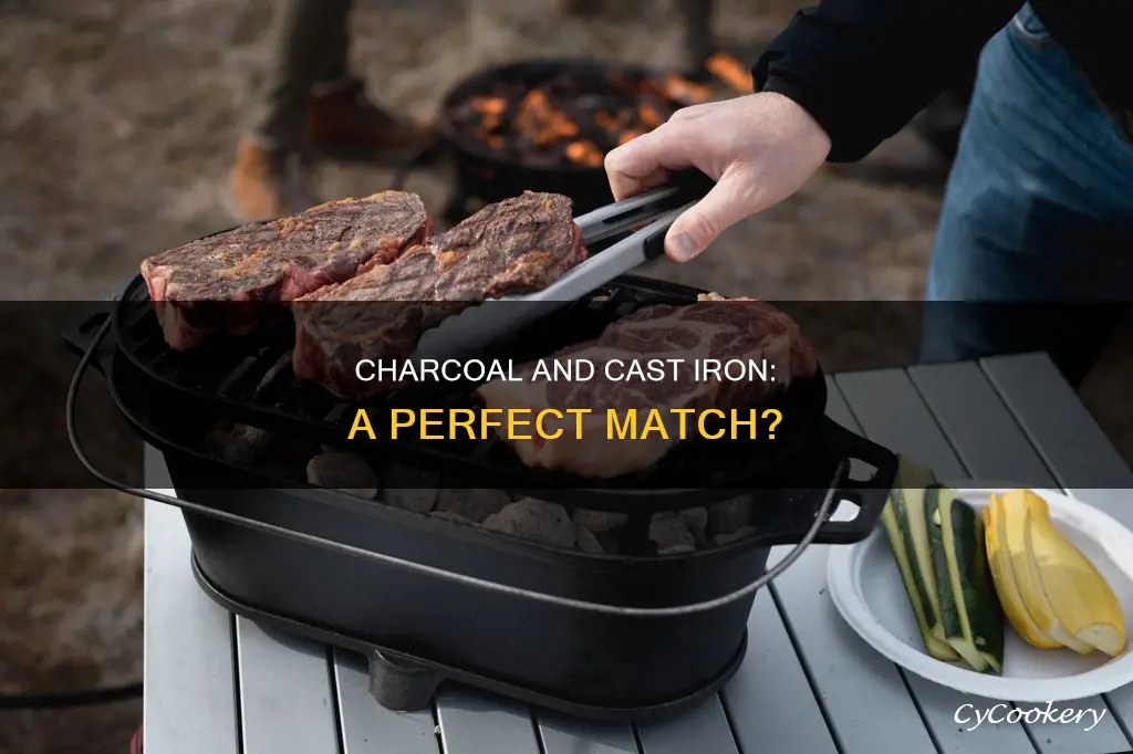 can I put charcoal in a cast iron pan