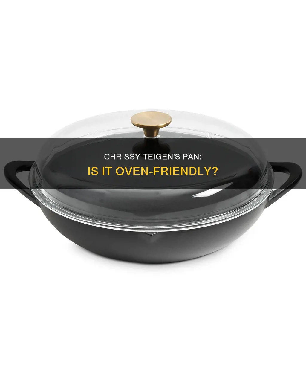 can I put chrissy tiegen pan in oven