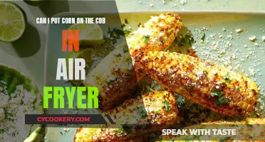 Air Fryer Corn on the Cob: Can You?