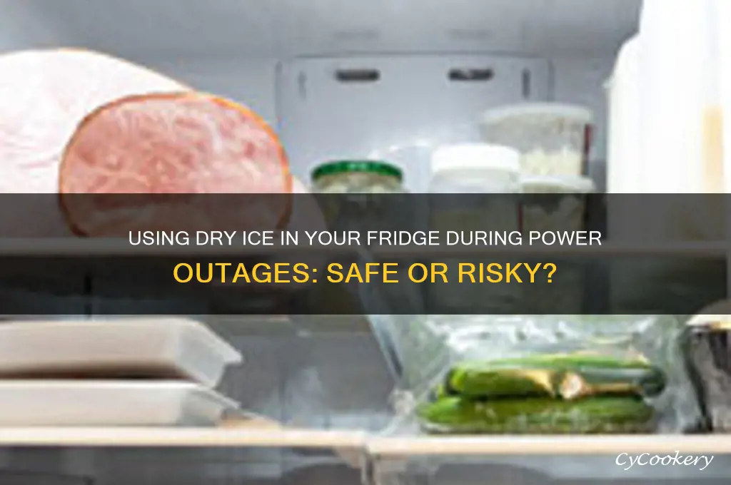 can i put dry ice in refrigerator during power outage