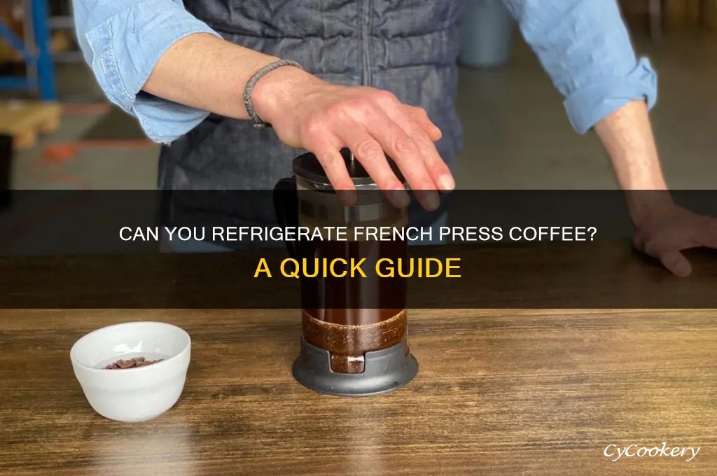 can i put french press in refrigerator