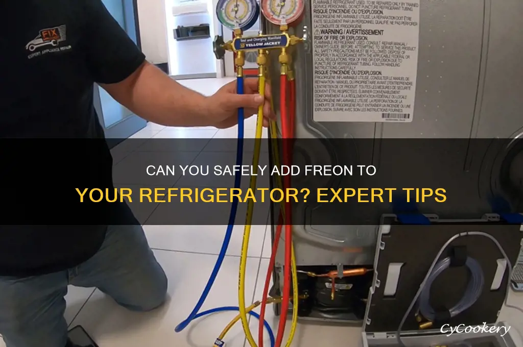 can i put freon in my refrigerator