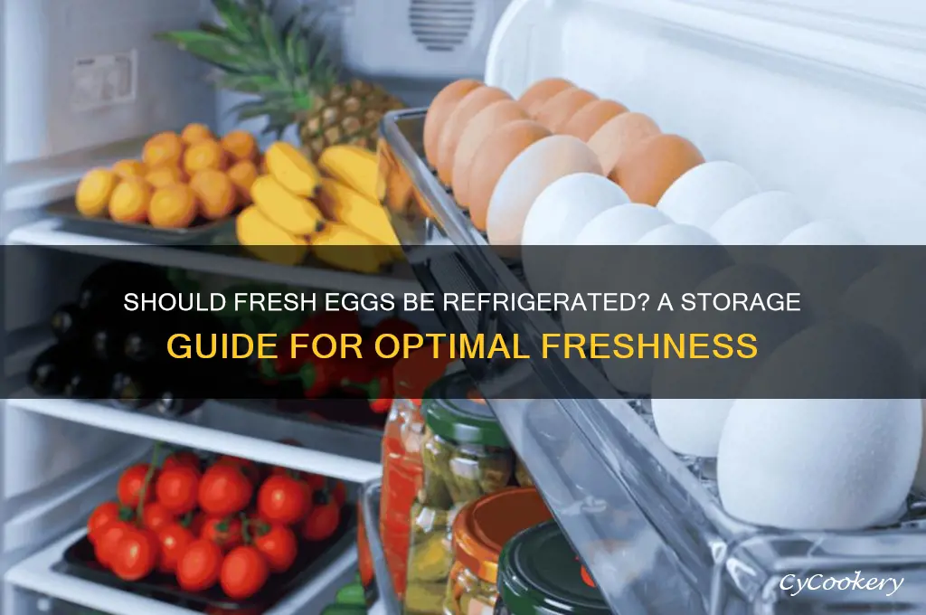 can i put fresh eggs in the refrigerator