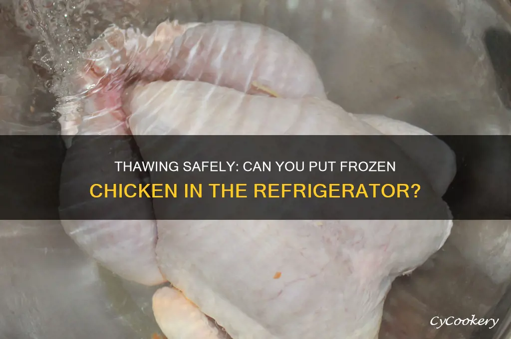 can i put frozen chicken in refrigerator