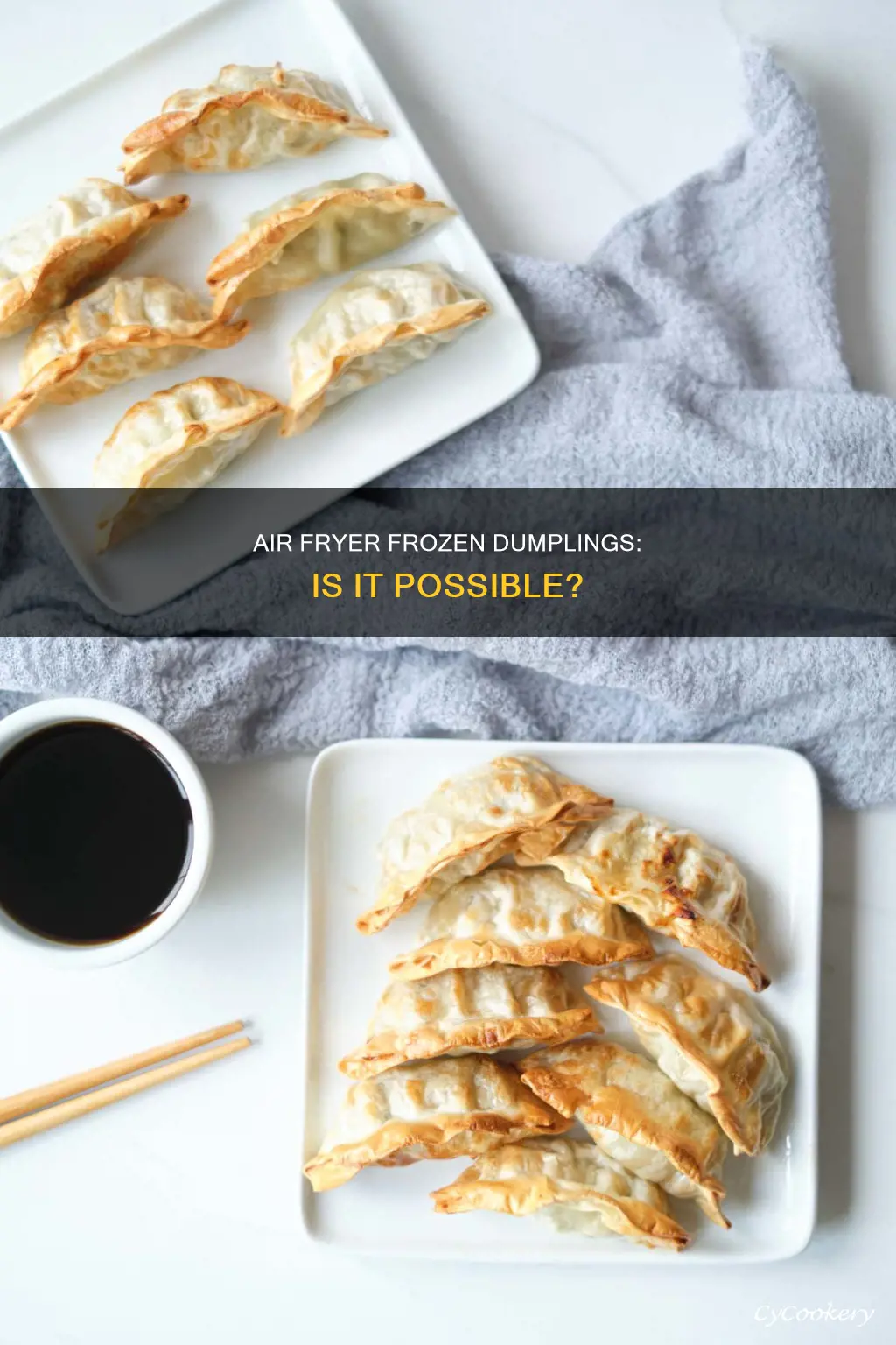 can i put frozen dumplings in the air fryer