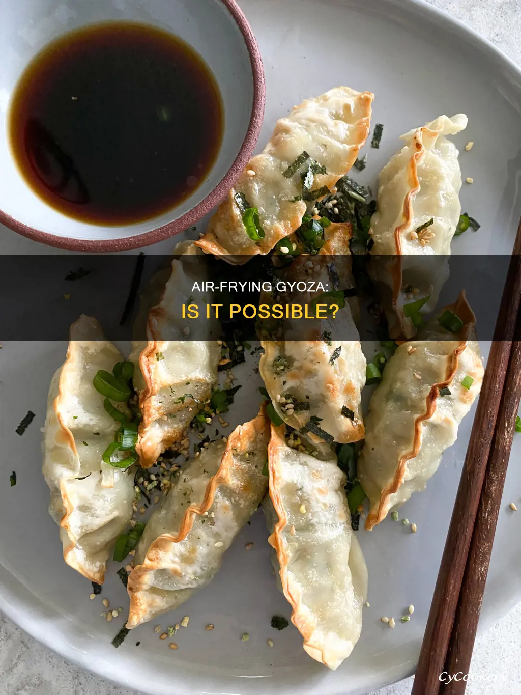 can i put gyoza in air fryer