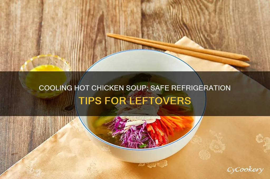 can i put hot chicken soup in the refrigerator