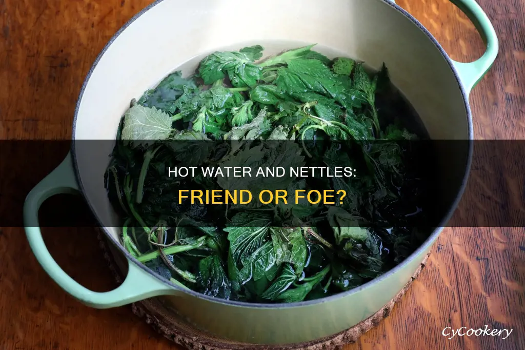 can I put hot water in a nettle pot