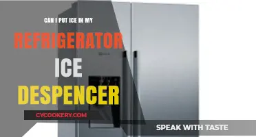 Can You Safely Put Ice in Your Refrigerator Ice Dispenser?