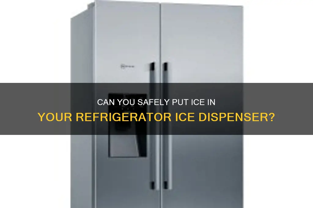 can i put ice in my refrigerator ice despencer