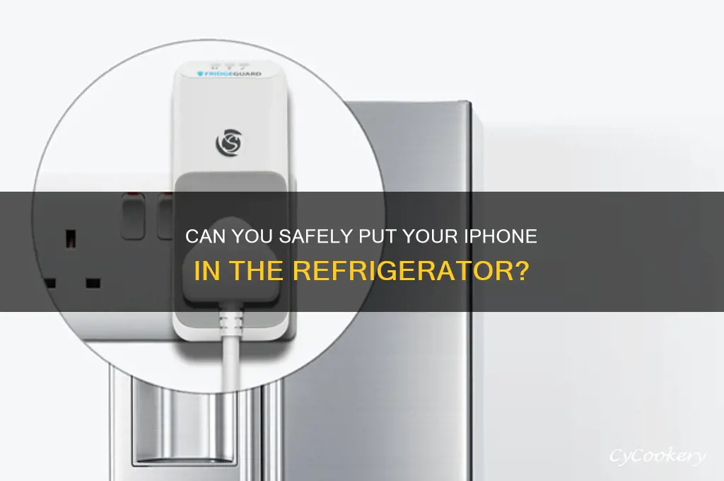 can i put iphone in refrigerator