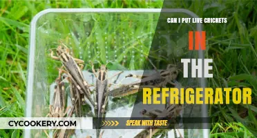 Chilling Crickets: Can You Safely Store Live Crickets in the Fridge?