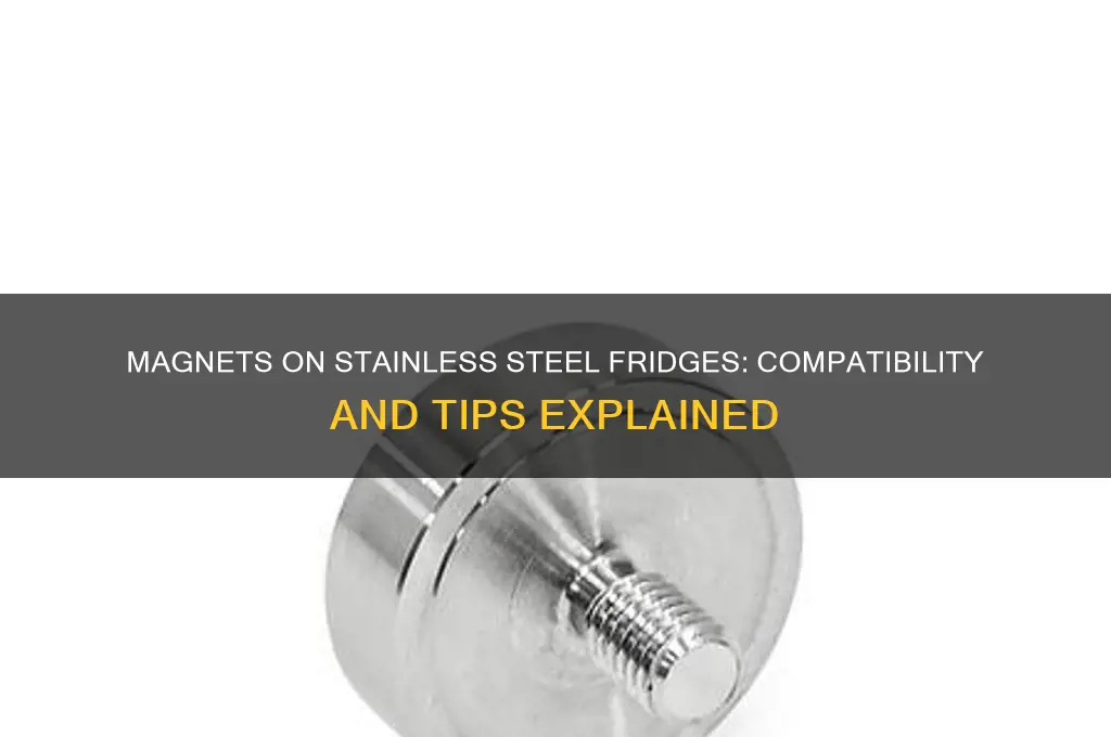 can i put magnets on a stainless steel refrigerator