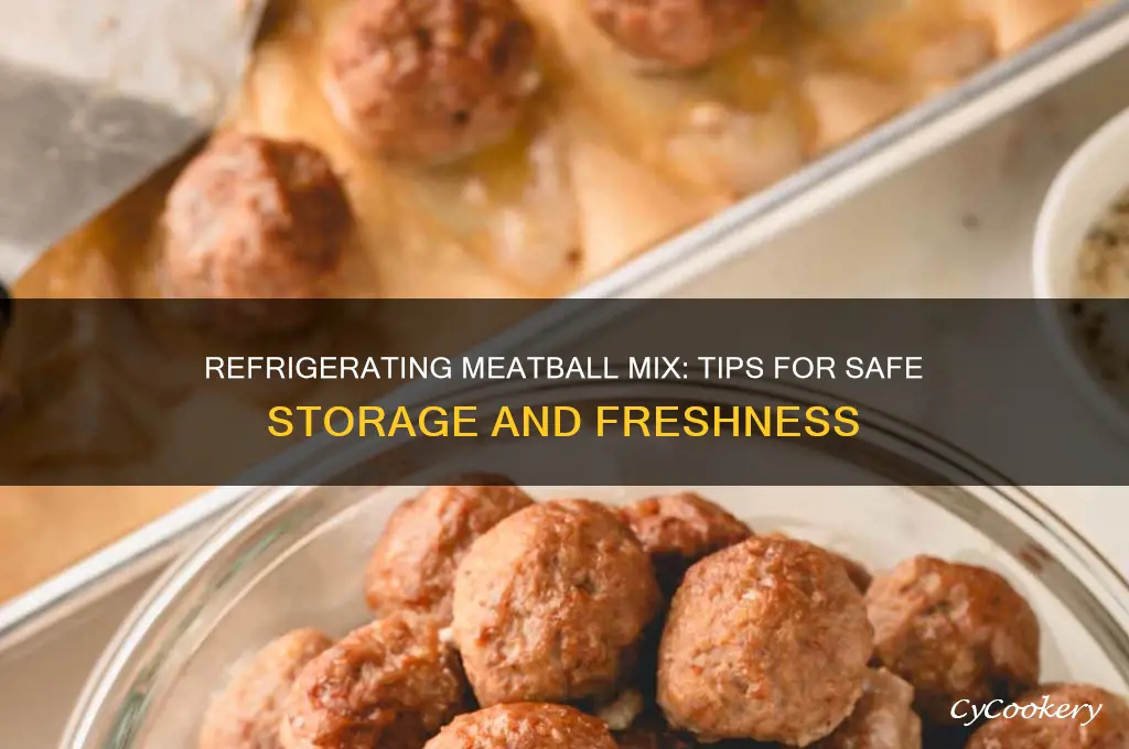 can i put meatball mix in refrigerator