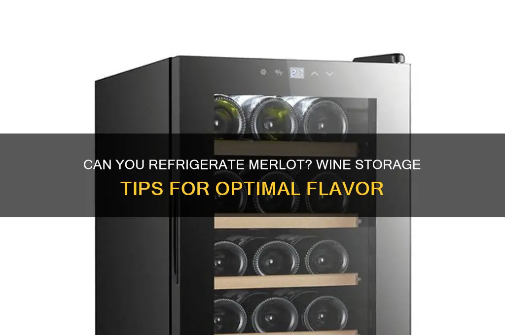 can i put merlot in refrigerator