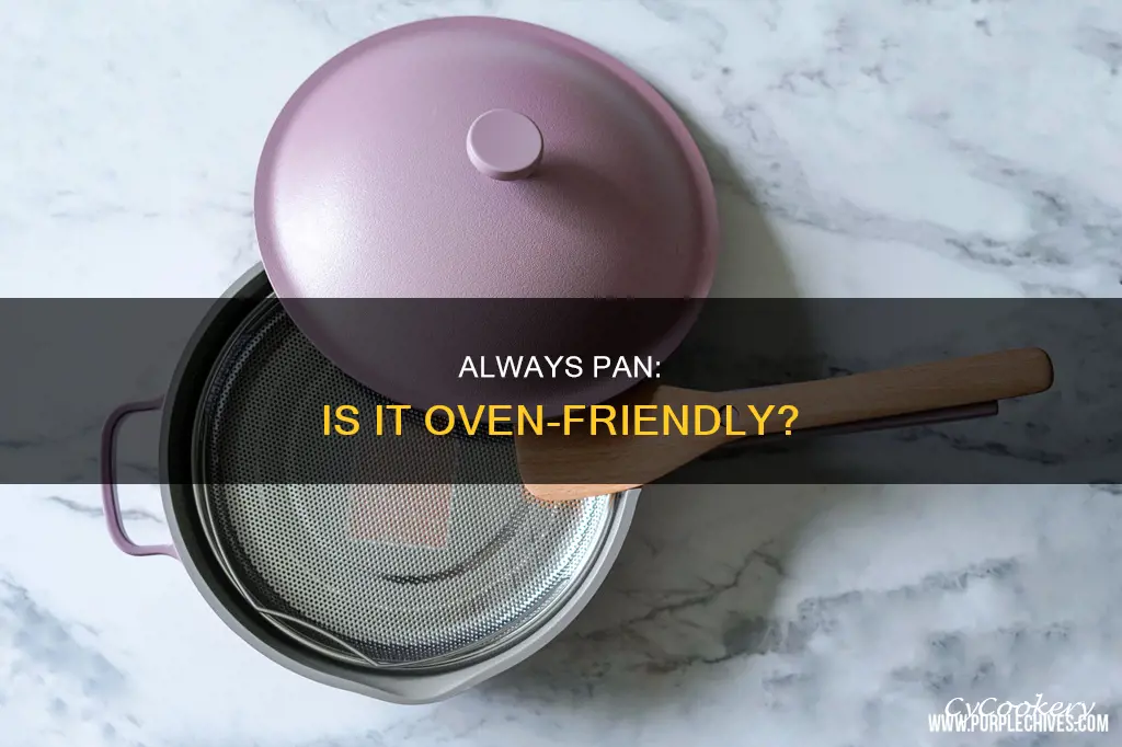 can I put my always pan in the oven