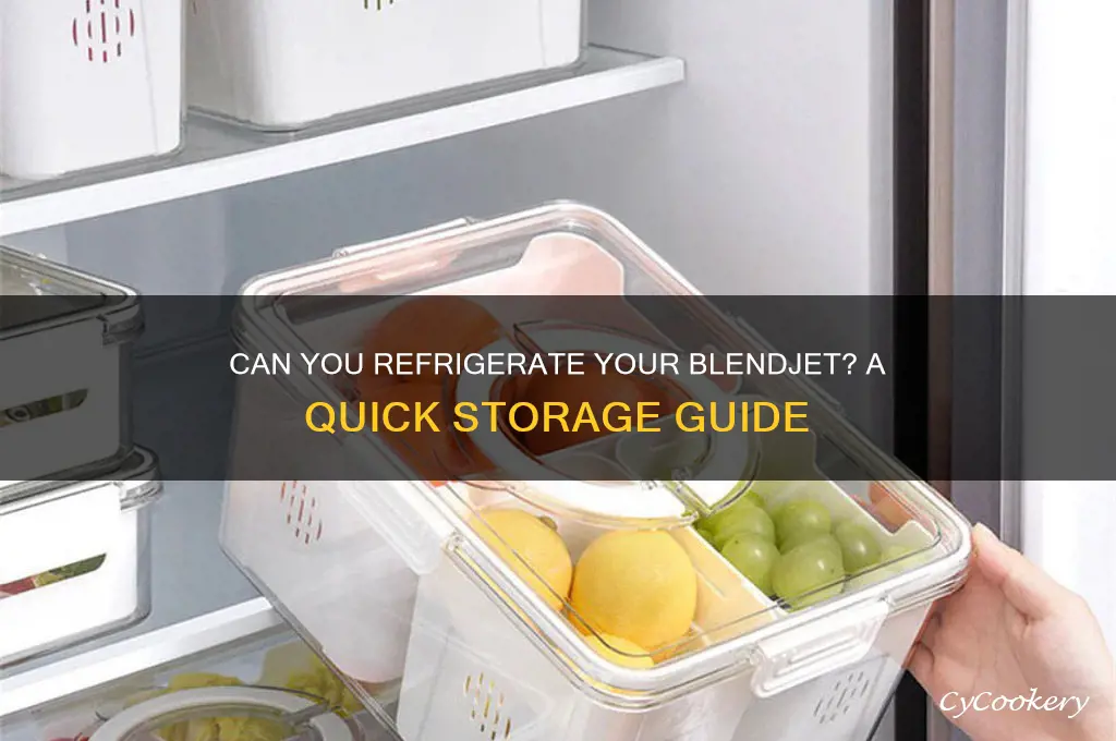 can i put my blendjet in the refrigerator