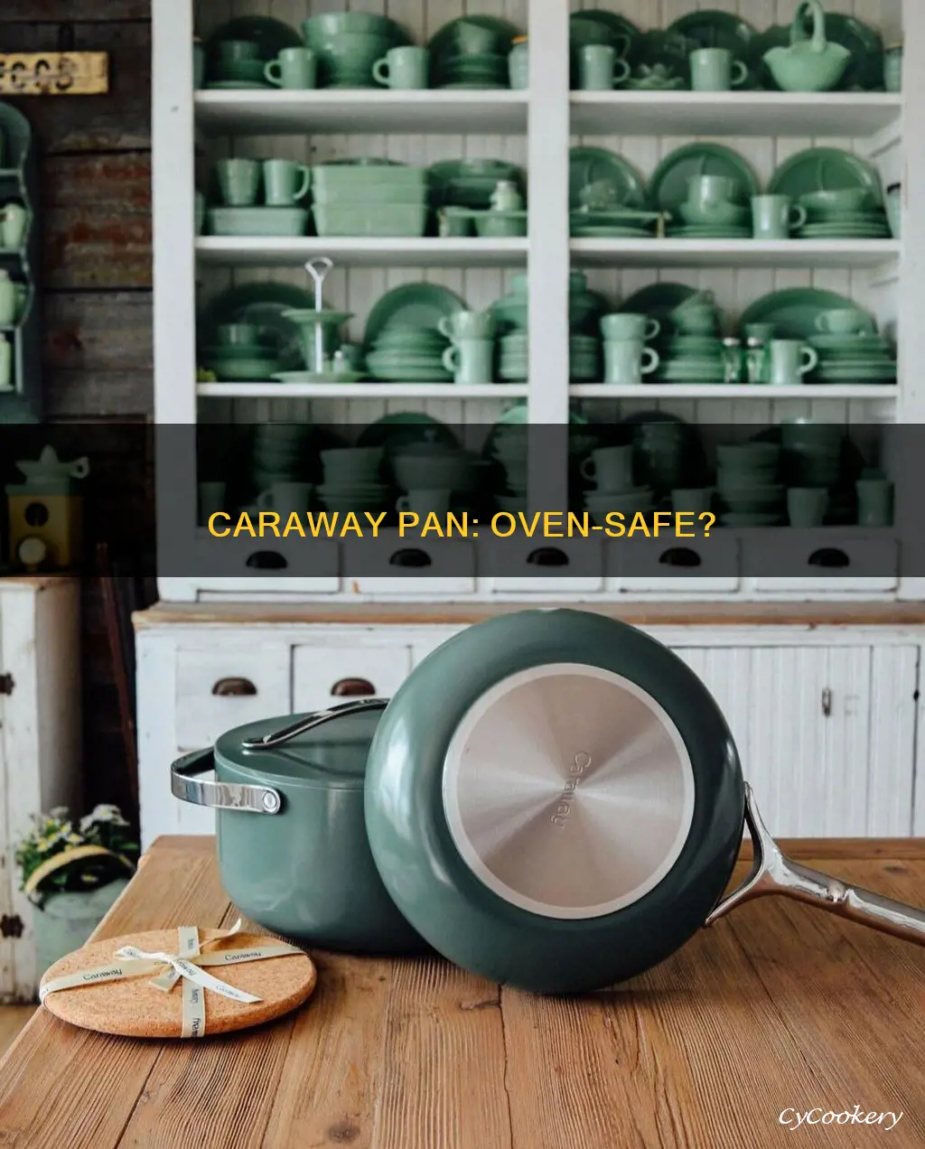 can I put my caraway pan in the oven
