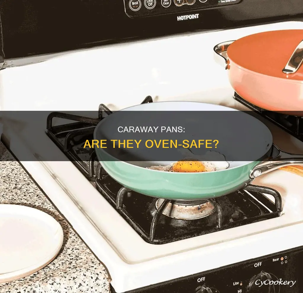 can I put my caraway pans in oven