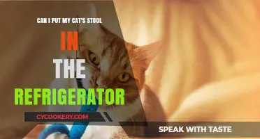 Should You Refrigerate Your Cat's Stool? Facts and Tips