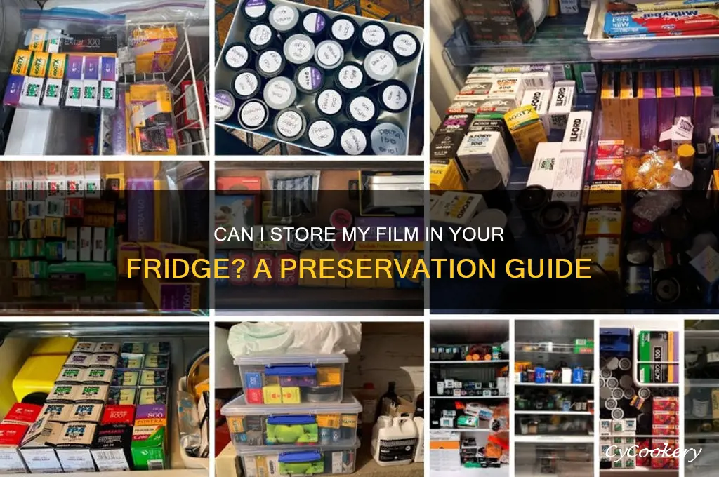 can i put my film in your refrigerator