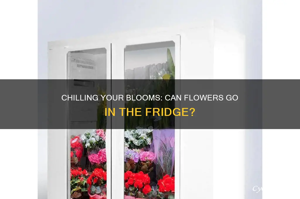 can i put my flowers in the refrigerator