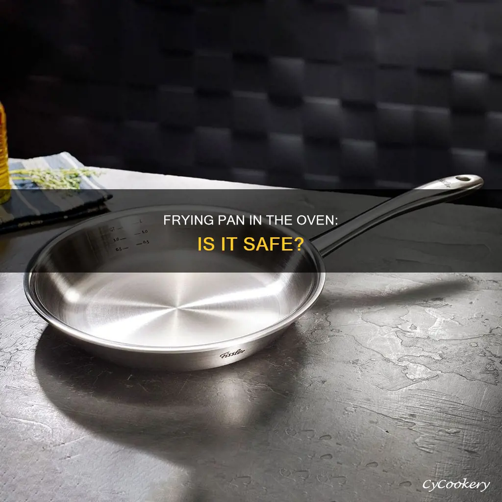 can I put my frying pan in the oven