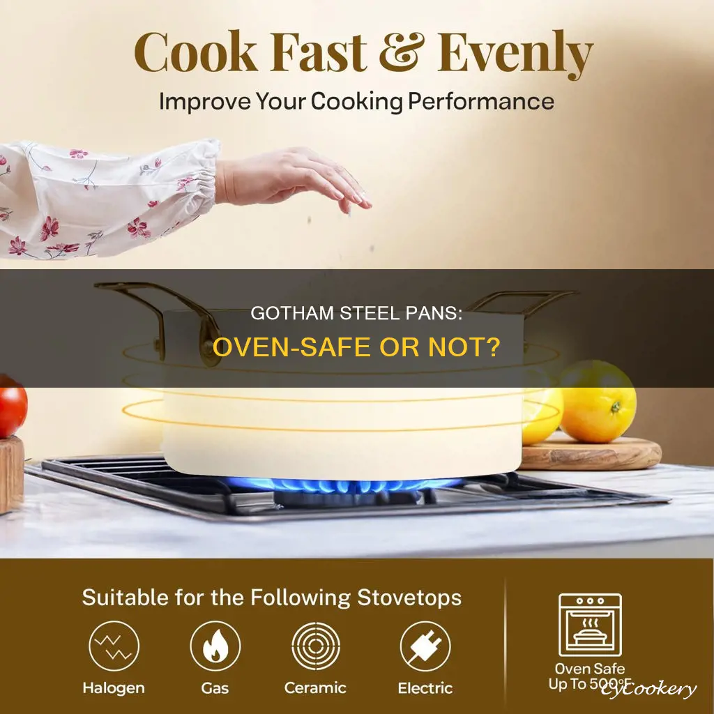 can I put my gotham steel pan in the oven