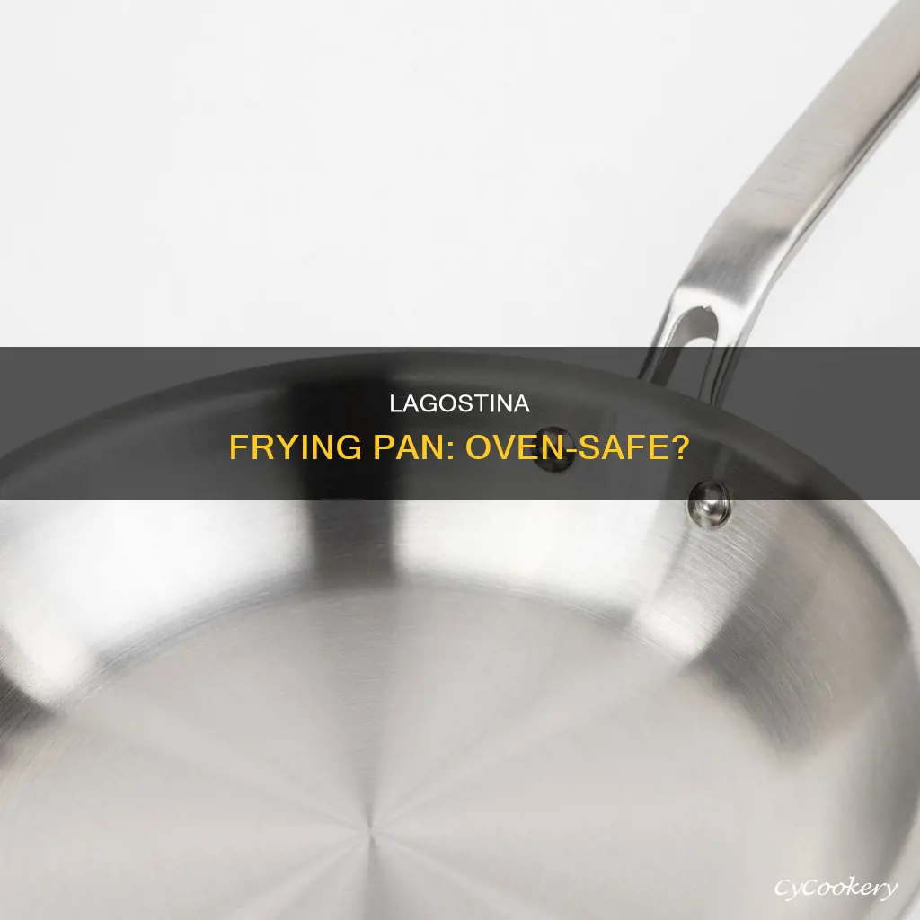 can I put my lagostina frying pan in the oven