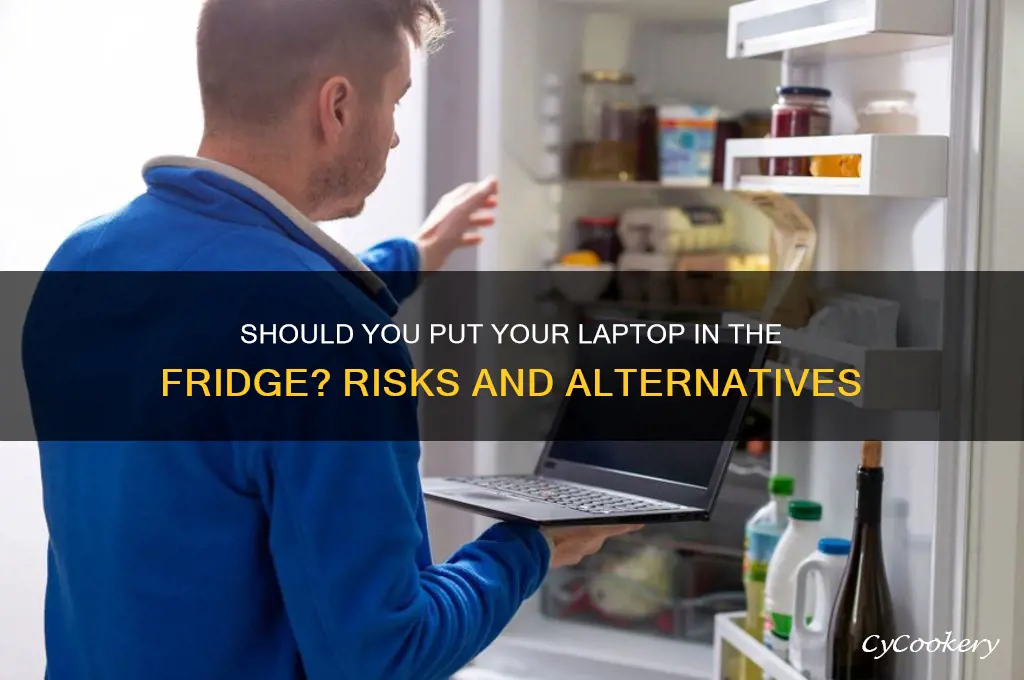 can i put my laptop in the refrigerator