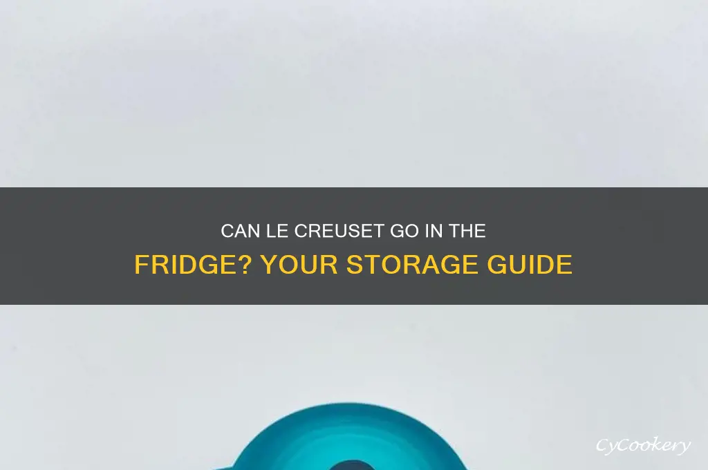 can i put my le creuset in the refrigerator