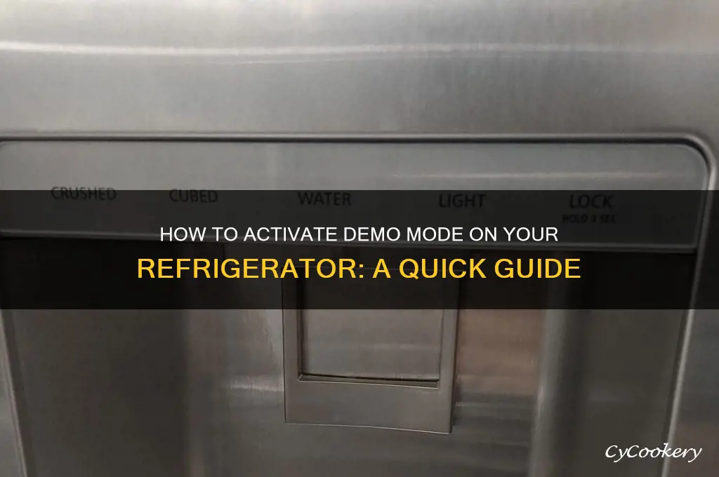can i put my refrigerator in demo mode