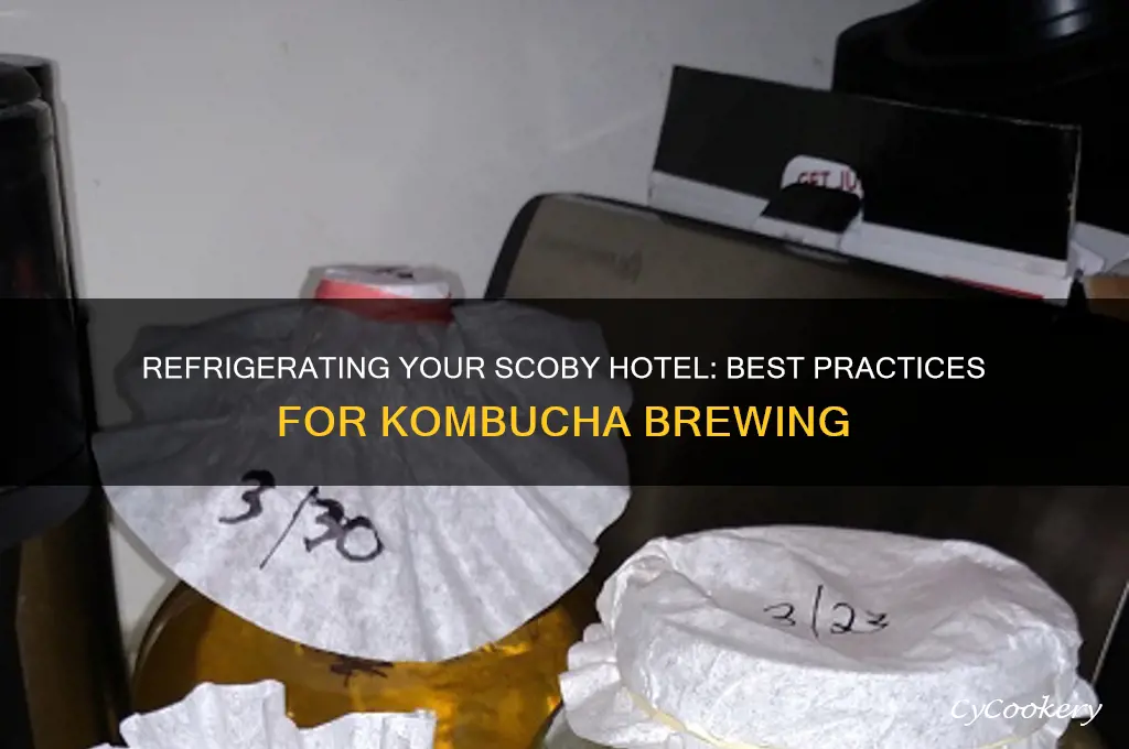 can i put my scoby hotel in the refrigerator