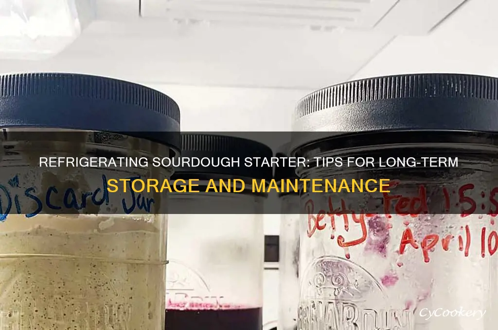 can i put my sourdough starter in the refrigerator