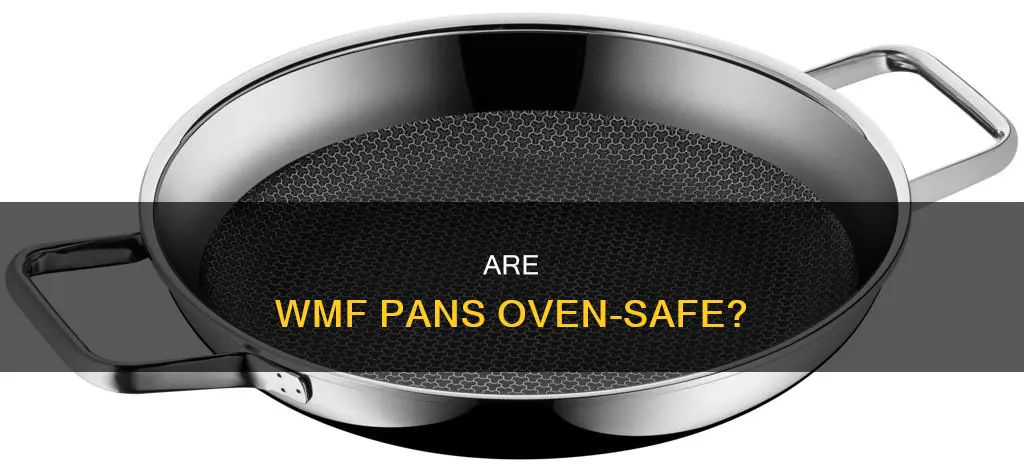 can I put my wmf pans in the oven