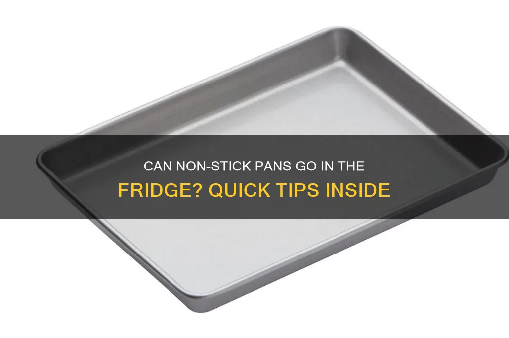 can i put non stick pan in the refrigerator