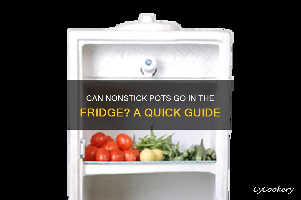 can i put nonstick pot in refrigerator