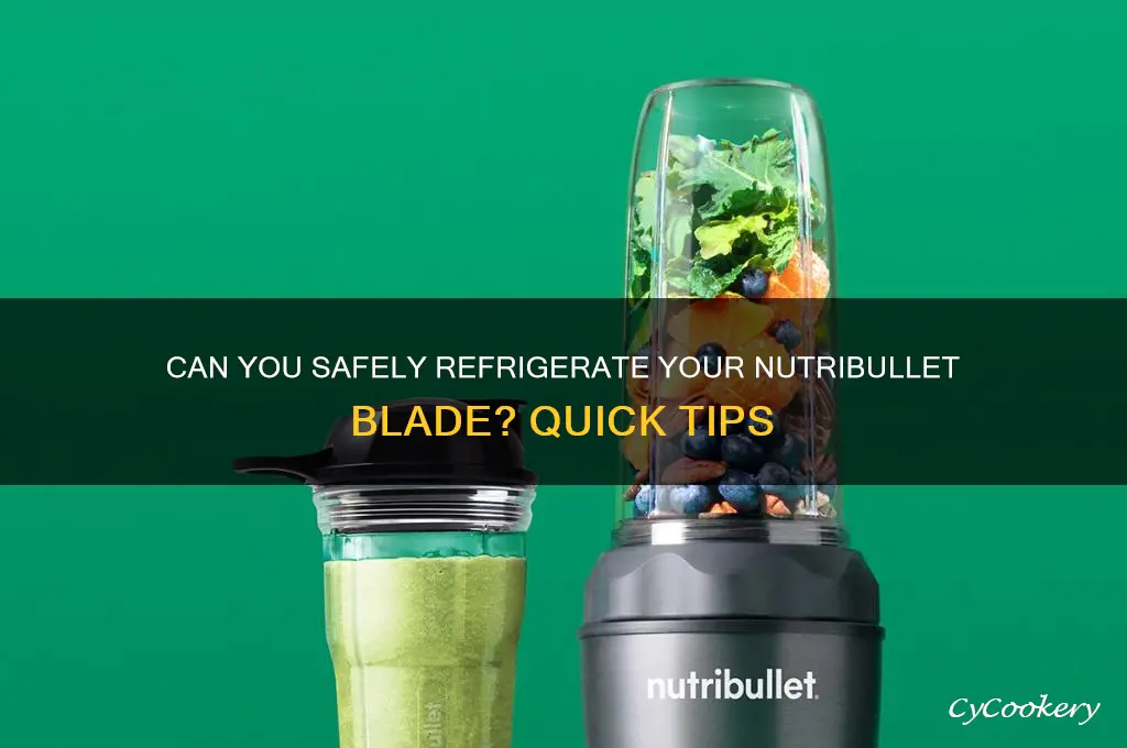 can i put nutribullet blade in refrigerator