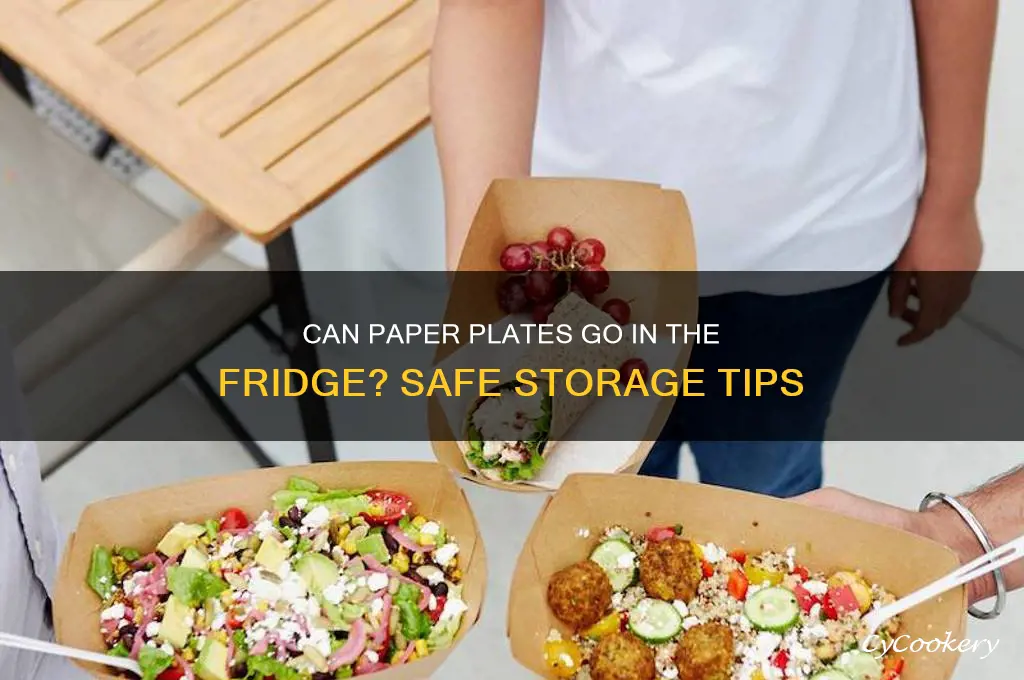 can i put paper plate in refrigerator