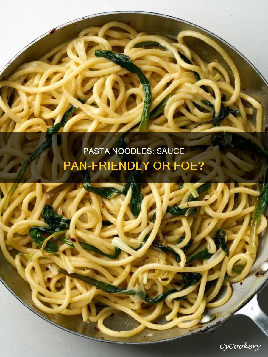 can I put pasta noodles in my sauce pan