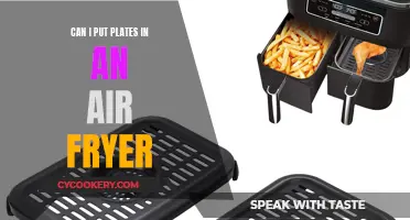 Air Fryer Plate Cooking: Is It Possible?