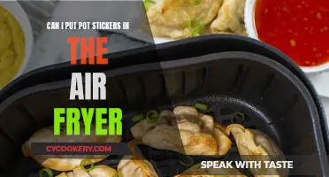 Air Fryer Pot Stickers: Can You Make Them?